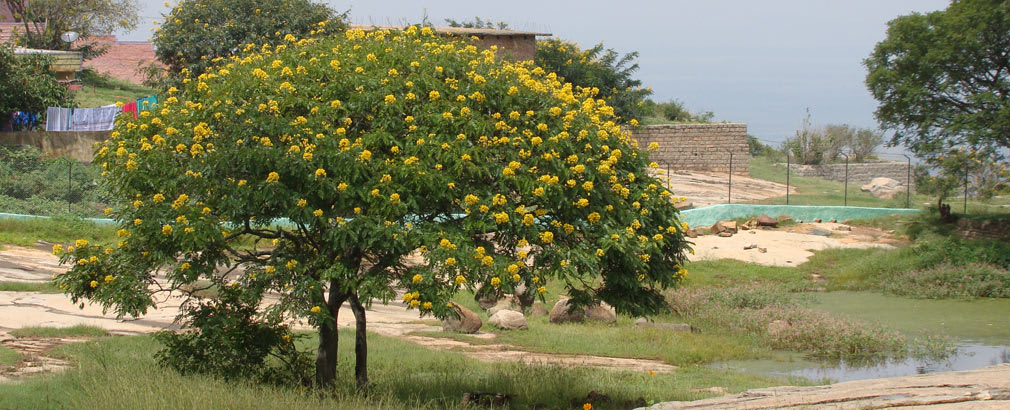 Horsley_Hills_Manasa_Sarovara